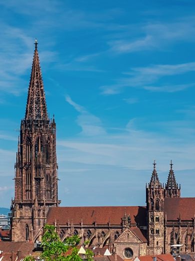 Der Dom in Münster