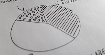 gezeichnete Skizze eines Kuchendiagramms