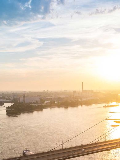 Die Skyline von Düsseldorf mit dem Fernsehturm, dem Rhein und einer Brücke.