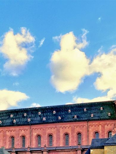 Der Mainzer Dom
