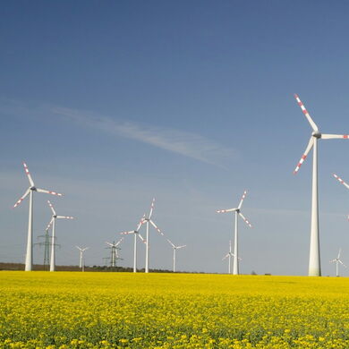Windräder auf einer Wiese mit gelben Blumen