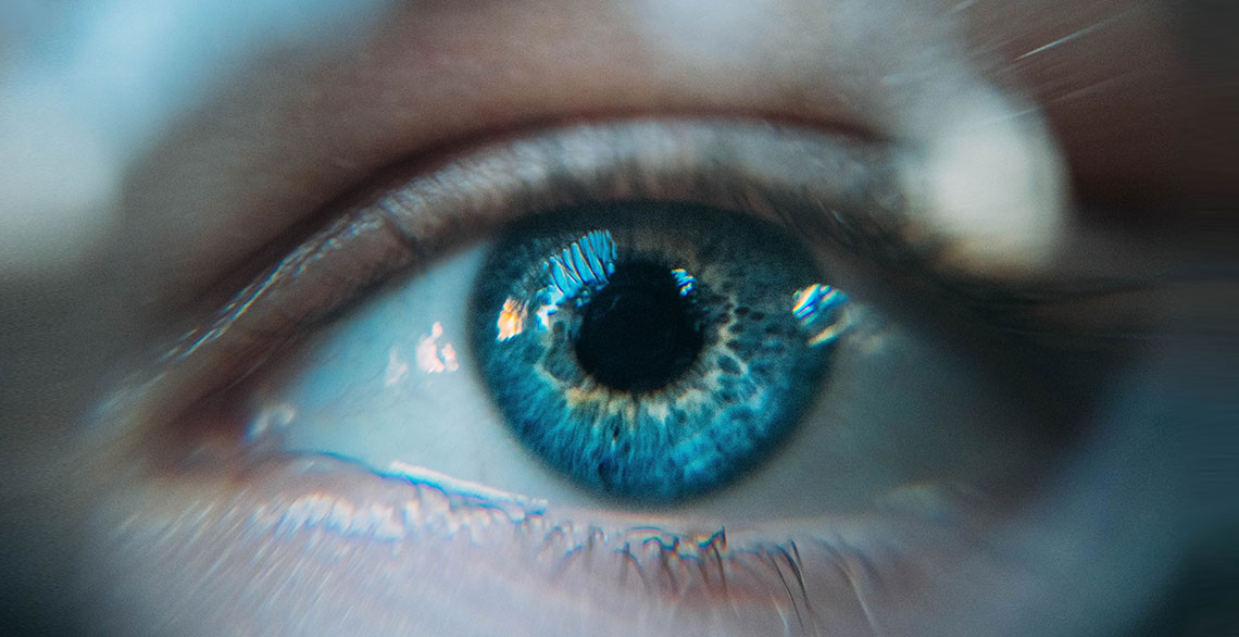 Biometrie – Chancen und Risiken | E WIE EINFACH