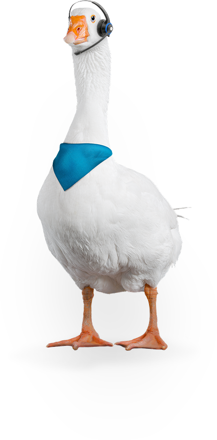 chat image